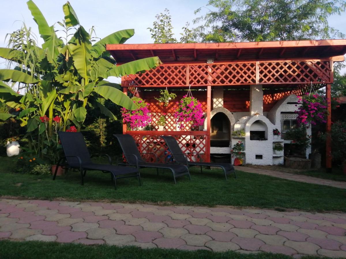 Casa Mona Villa Орадеа Екстериор снимка