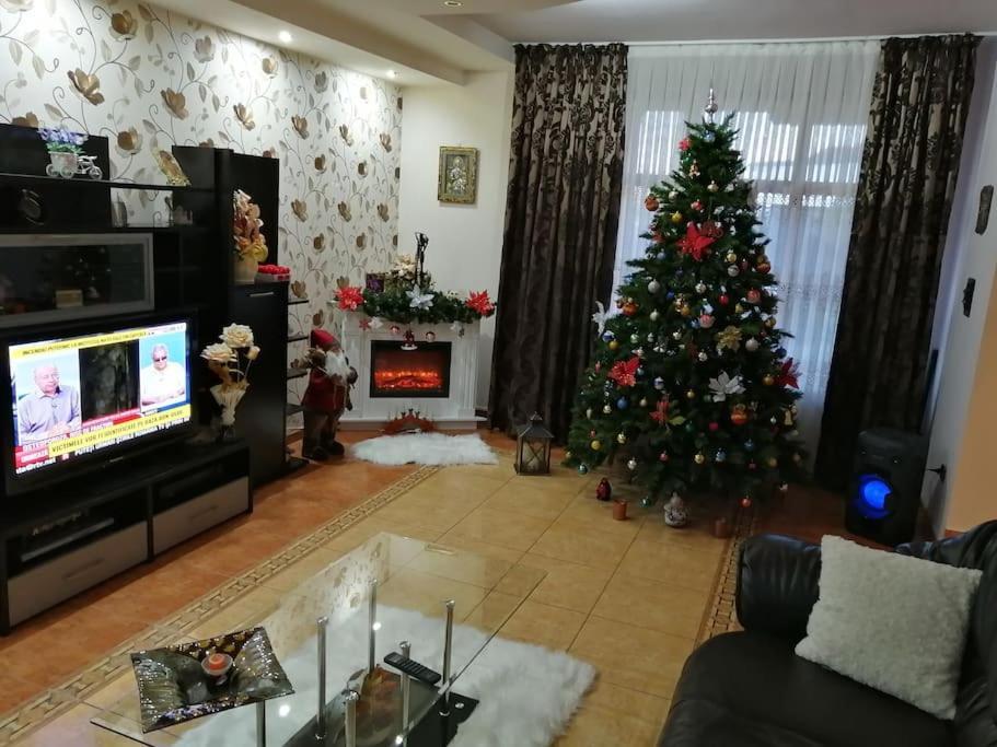 Casa Mona Villa Орадеа Екстериор снимка